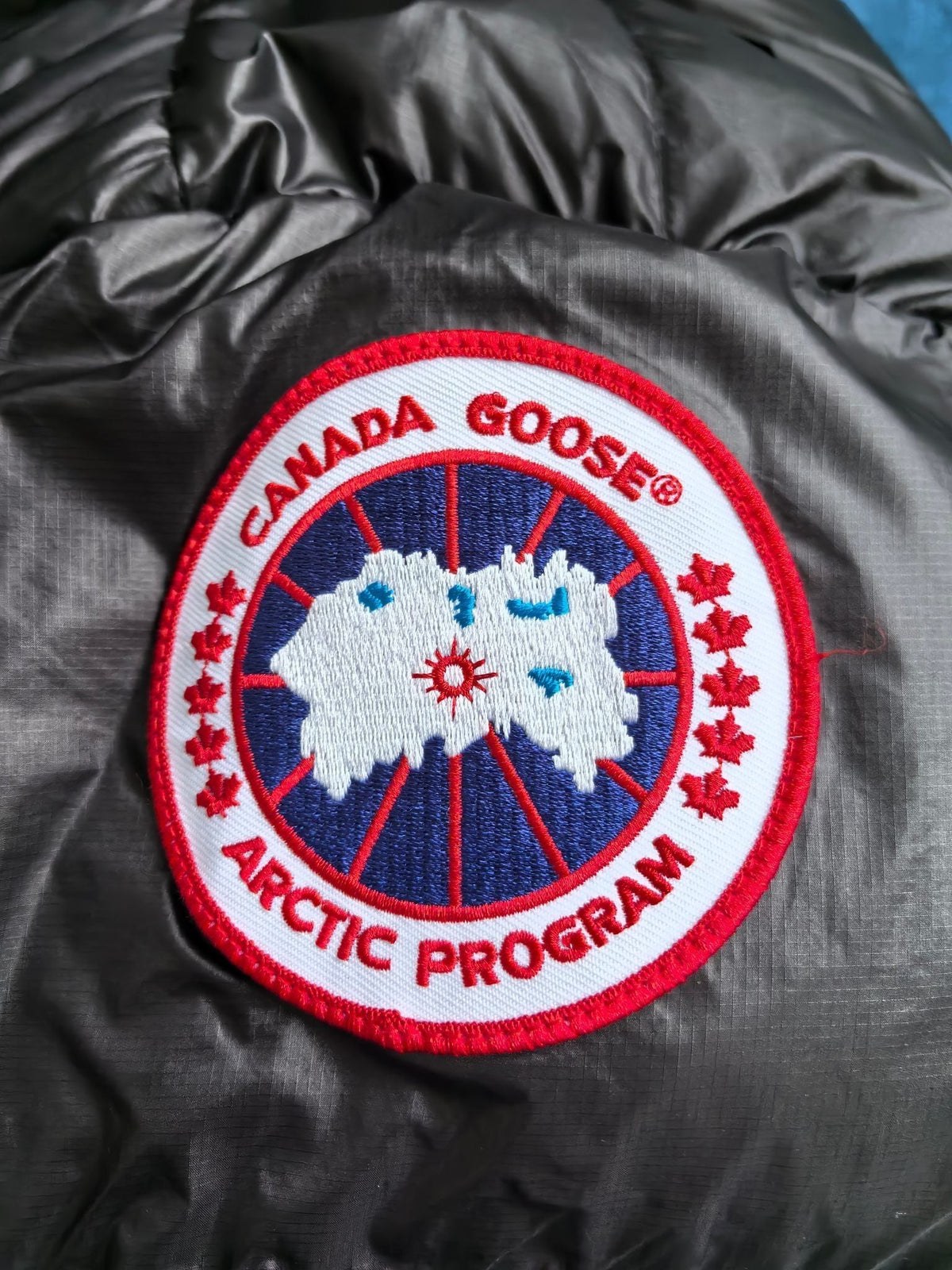 Chaqueta de plumas brillante